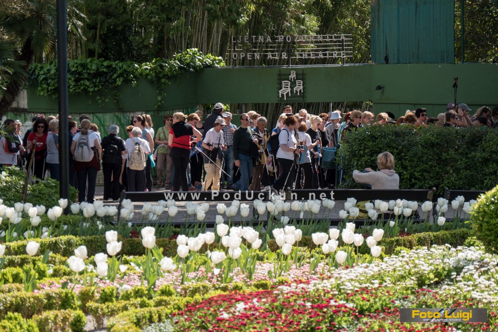 Foto Luigi Opatija, Grad Opatija, TZ grada Opatije, Gorovo, 4. Festival nordijskog hodanja 2016