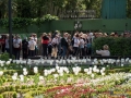 Foto Luigi Opatija, Grad Opatija, TZ grada Opatije, Gorovo, 4. Festival nordijskog hodanja 2016