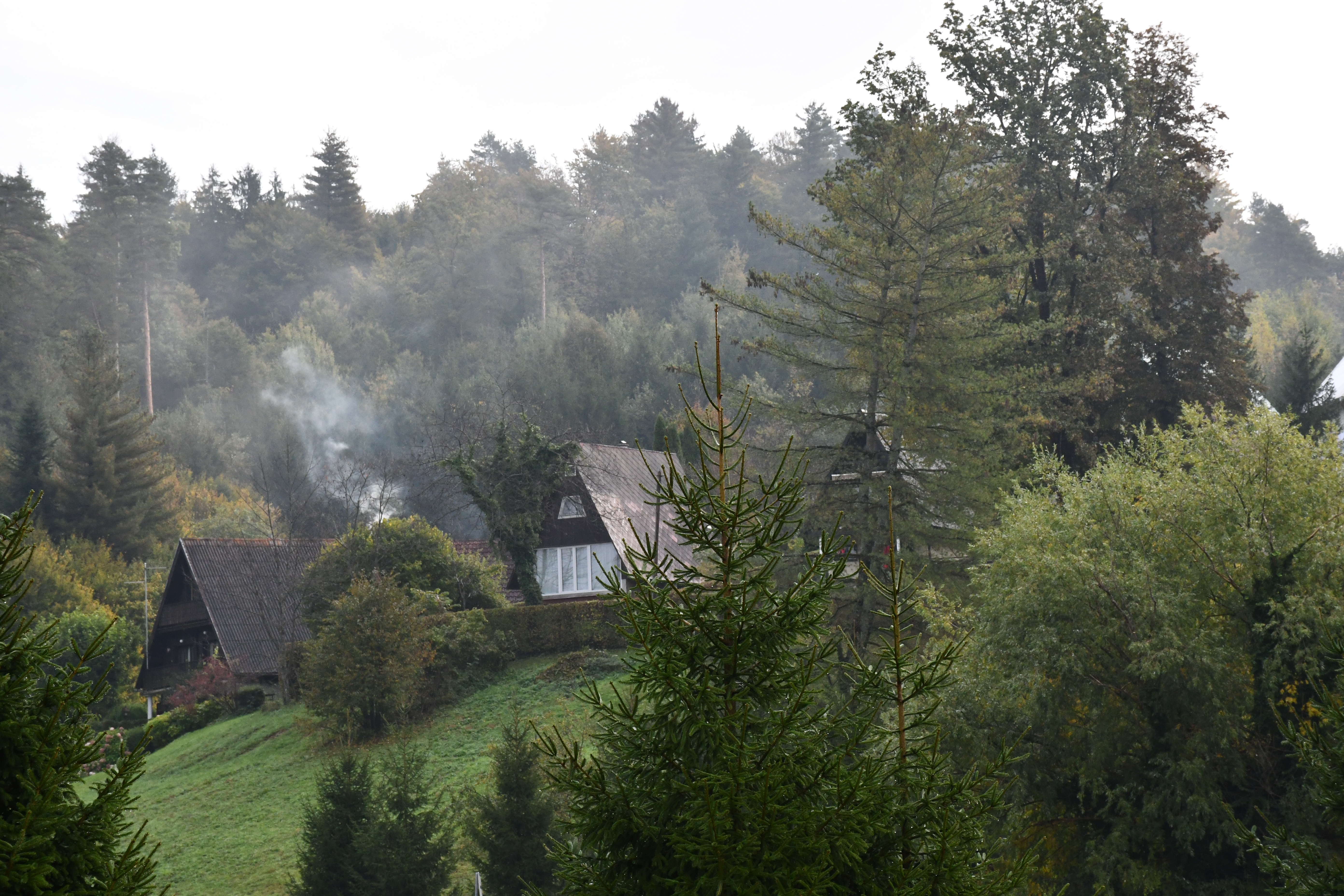 DSC_6058