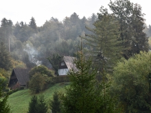 DSC_6058